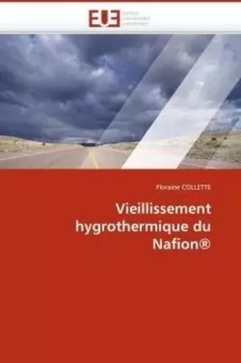 Vieillissement hygrothermique du nafion® -  COLLETTE-F - UNIV EUROPEENNE