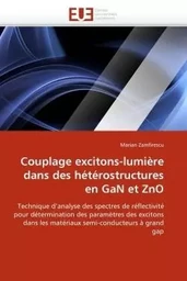 Couplage excitons-lumière dans des hétérostructures en gan et zno