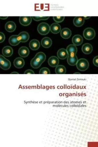 Assemblages colloïdaux organisés - Djamal Zerrouki - UNIV EUROPEENNE