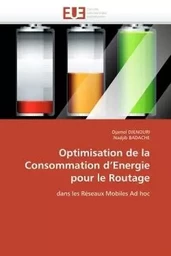 Optimisation de la consommation d energie pour le routage