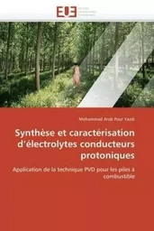 Synthèse et caractérisation d électrolytes conducteurs protoniques