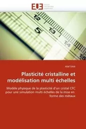 Plasticité cristalline et modélisation multi échelles