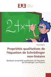 Propriétés qualitatives de l'équation de Schrödinger non-linéaire