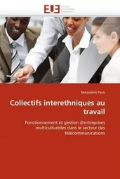 Collectifs interethniques au travail