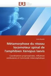 Métamorphose du réseau locomoteur spinal de l''amphibien Xenopus laevis