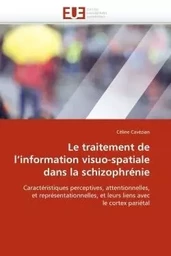 Le traitement de l''information visuo-spatiale dans la schizophrénie