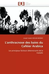 L''anthracnose des baies du caféier arabica