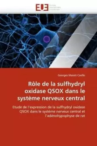 Rôle de la sulfhydryl oxidase qsox dans le système nerveux central -  MAIRET-COELLO-G - UNIV EUROPEENNE