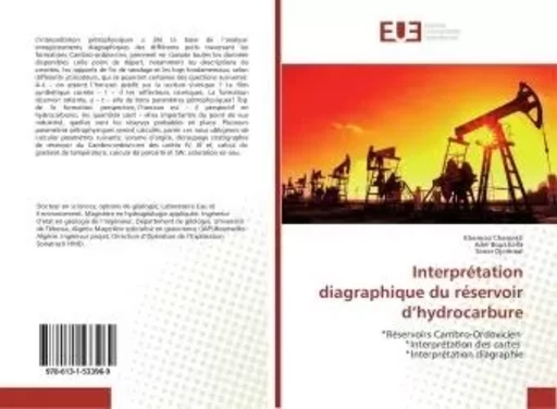 Interpretation diagraphique du reservoir d'hydrocarbure - Khemissi Chamekh, - UNIV EUROPEENNE