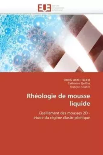 Rhéologie de mousse liquide -  Collectif Groupe Revue Fiduciaire - UNIV EUROPEENNE