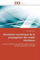 Simulation numérique de la propagation des ondes élastiques