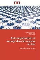 Auto-organisation et routage dans les réseaux ad hoc