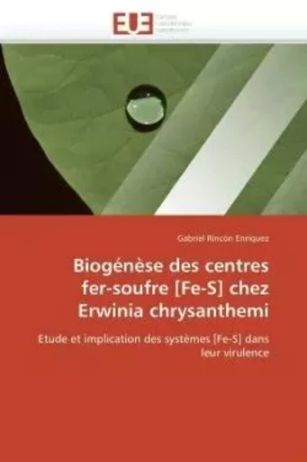 Biogénèse des centres  fer-soufre [fe-s] chez  erwinia chrysanthemi -  RINCÓN ENRÍQUEZ-G - UNIV EUROPEENNE