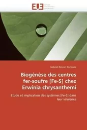 Biogénèse des centres  fer-soufre [fe-s] chez  erwinia chrysanthemi