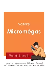 Réussir son Bac de français 2025 : Analyse de Micromégas de Voltaire