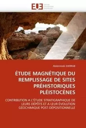 Étude magnétique du remplissage de sites préhistoriques pléistocènes