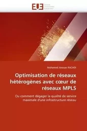 Optimisation de réseaux hétérogènes avec c ur de réseaux mpls