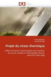 Projet du stress thermique