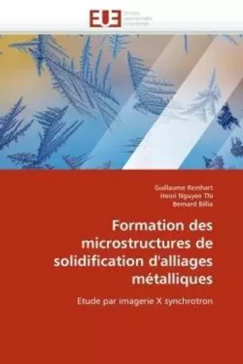 Formation des microstructures de solidification d''alliages métalliques -  collectif - UNIV EUROPEENNE