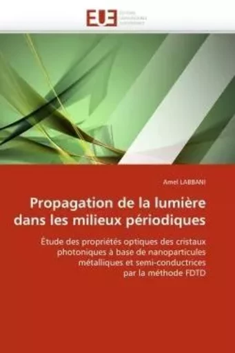 Propagation de la lumière dans les milieux périodiques -  LABBANI-A - UNIV EUROPEENNE