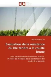 Evaluation de la résistance du blé tendre à la rouille brune