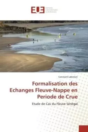 Formalisation des Echanges Fleuve-Nappe en Periode de Crue - CONSTANT LABINTAN - UNIV EUROPEENNE