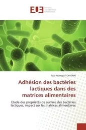 Adhésion des bactéries lactiques dans des matrices alimentaires