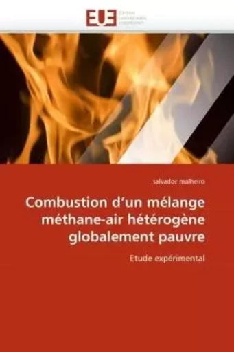 Combustion d''un mélange méthane-air hétérogène globalement pauvre -  MALHEIRO-s - UNIV EUROPEENNE