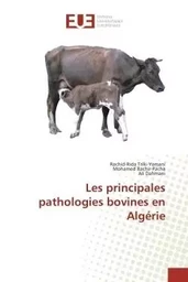 Les principales pathologies bovines en algérie