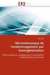 Micromécanique de l''endommagement par homogénéisation