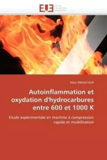 Autoinflammation et oxydation d'hydrocarbures entre 600 et 1000 k -  RIBAUCOUR-M - UNIV EUROPEENNE