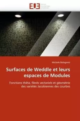 Surfaces de weddle et leurs espaces de modules -  BOLOGNESI-M - UNIV EUROPEENNE