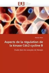 Aspects de la régulation de la kinase cdc2-cycline b