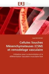 Cellules souches mésenchymateuses (csm) et remodelage vasculaire