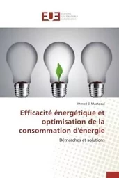 Efficacité énergétique et optimisation de la consommation d'énergie