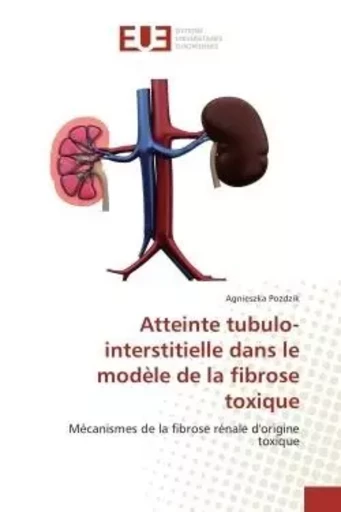 Atteinte tubulo-interstitielle dans le modèle de la fibrose toxique - Agnieszka POZDZIK - UNIV EUROPEENNE