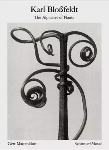 Karl Blossfeldt Alphabet der Pflanzen /allemand -  BLOSSFELDT KARL - SCHIRMER MOSEL