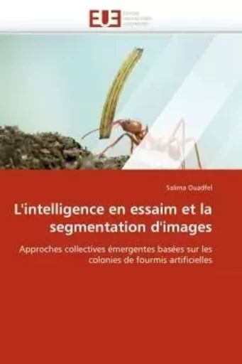 L''intelligence en essaim et la segmentation d''images -  OUADFEL-S - UNIV EUROPEENNE