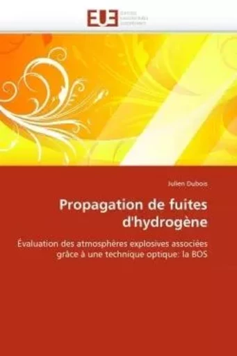 Propagation de fuites d''hydrogène -  DUBOIS-J - UNIV EUROPEENNE