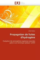 Propagation de fuites d''hydrogène