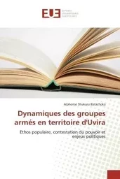 Dynamiques des groupes armés en territoire d'Uvira