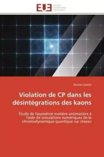 Violation de CP dans les désintégrations des kaons - Nicolas Garron - UNIV EUROPEENNE