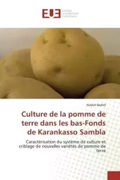 Culture de la pomme de terre dans les bas-Fonds de Karankasso Sambla