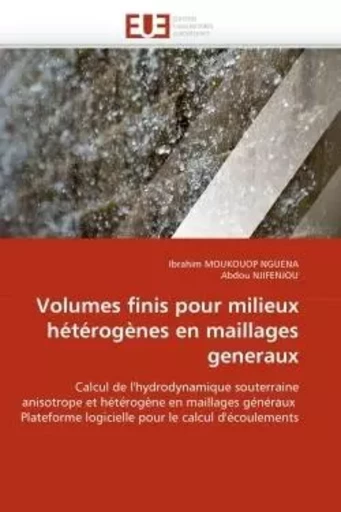 Volumes finis pour milieux hétérogènes en maillages generaux -  collectif - UNIV EUROPEENNE