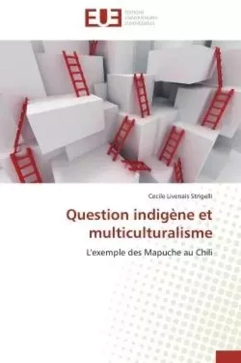 Question indigène et multiculturalisme - Cecile Livenais Strigelli - UNIV EUROPEENNE