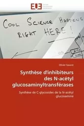 Synthèse d''inhibiteurs des n-acétyl glucosaminyltransférases