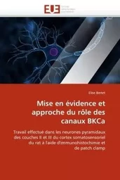 Mise en évidence et approche du rôle des canaux bkca