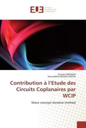 Contribution à l'Etude des Circuits Coplanaires par WCIP