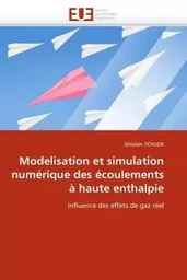 Modelisation et simulation numérique des écoulements à haute enthalpie