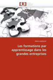 Les formations par apprentissage dans les grandes entreprises